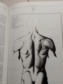 Anatomie pro výtvarníky. Prof. Mudr. Zrzavý Josef - 5