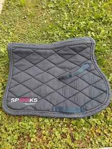 Podsedlova decka Spooks - 5