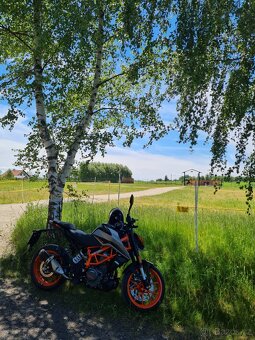 KTM Duke 390 - 5