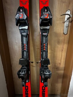 lyže Blizard firebird - 5