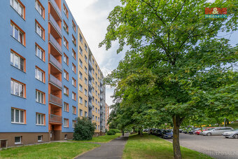 Prodej bytu 1+1, 34 m², Sokolov, ul. Švabinského - 5