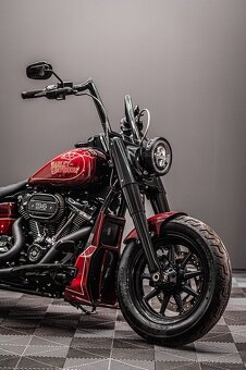 2021 Harley Davidson Softail Custom - 5