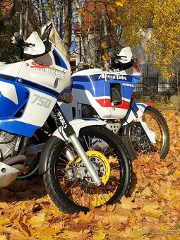 Yamaha XTZ 750 Super Ténéré 1989 - 5