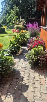 Chalupa na prodej - 5