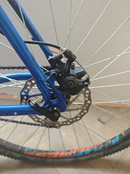 Rock Machine Manhattan - 5