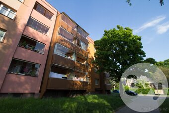 Prodej byty 2+1, 52 m2, Ostrava - Hrabůvka, ul. Závodní - 5