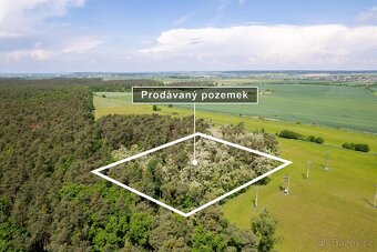 Prodej pole a lesa 84 910 m2 - 5