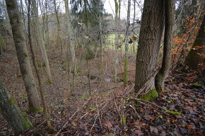 Pozemek Merklín - 5