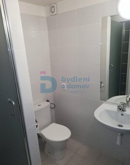 Pronájem bytu 1+1 Horka nad Moravou - 5