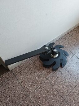 Plecí hvězdice vinice - sad - 5