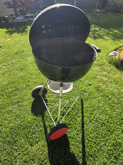 Gril Weber - 5