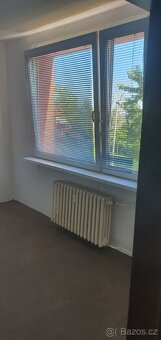 Pronájem bytů. - 5