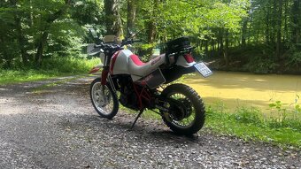 Suzuki DR650 Djebel - 5