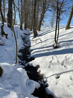 Prodej stavebního pozemku - 5