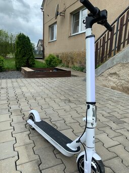 Koloběžka Gogen Voyager Lite S201B - 5