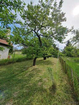 Zahrada 1 403 m2 Brno - Brněnské Ivanovice - 5