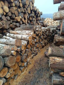 Palivové dřevo - 5