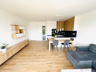 Pronájem bytu 2+kk 70m²,v lokalitě Milana Ticháka Vila Park - 5