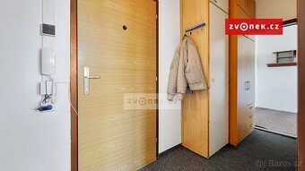 Pronájem bytu 2+1 s krásným výhledem na Centrální park, J... - 5