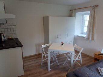 Pronajmu apartmány v Harrachově - 5