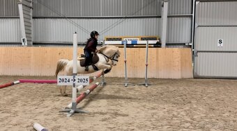 Líbivá pony klisna - 5