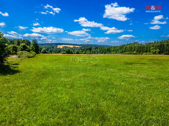 Prodej louky, 5551 m², Nové Mitrovice - 5
