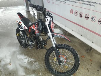 Prodám pitbike KXD 125 kola 17"-14" - 5