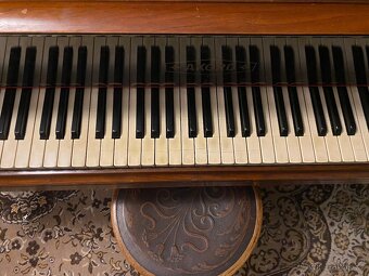 Klavírní křídlo - 5