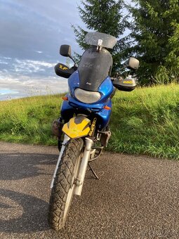 Suzuki XF 650 Freewind - 5