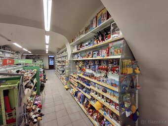 Pronájem obchodních prostor, 205 m2, Kolín - 5