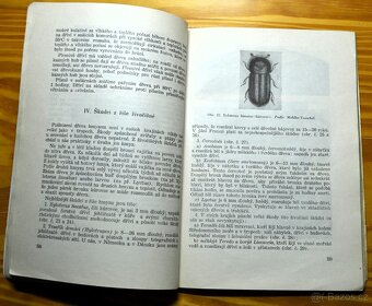 Knihy o ochraně dřeva - 5