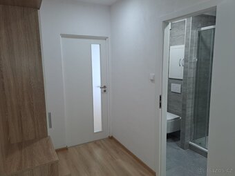 Pronajmu byt 1+1 po rekonstrukci - 5