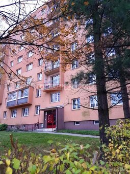 SNÍŽENÁ PROVIZE Pronájem bytu 1+kk, 25 m2, Havířov - 5