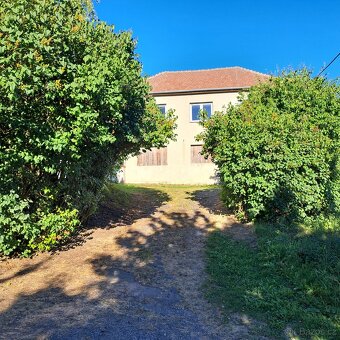 Prodám zemědělskou usedlost s pozemky - 5