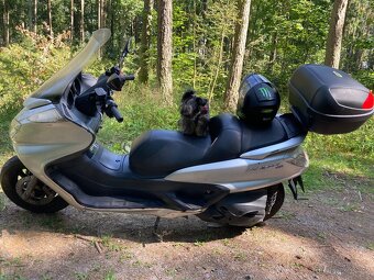 Yamaha Mayesty 400i - 5