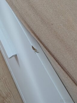 Dětská rozkládací postel - 5