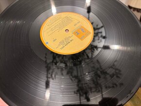 The Beach Boys - Love You - 5