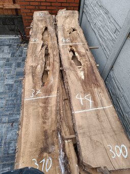 Ořechové fošny na epoxidové stoly Možnost odběru po fošňě - 5