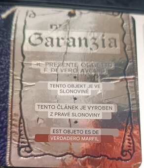 Miniatura obrázku - 5