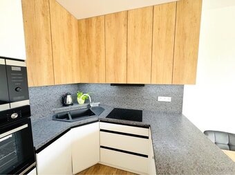 Pronájem bytu 2+kk 70m²,v lokalitě Milana Ticháka Vila Park - 5