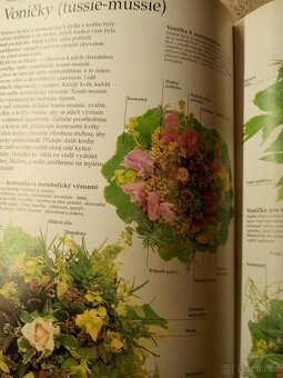 Bylinář - zdraví, krása a radost - L.Bremnessová - 5