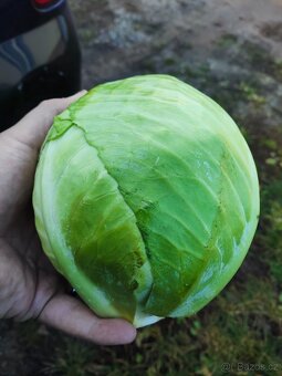 🌿 Farma24 – čerstvá zelenina přímo od farmářů 🌿 - 5