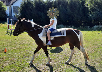 Pony kobylka na rekreační ježdění - 5