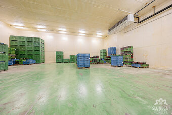Prodej výrobního a skladového areálu, 23408 m², Bzenec - Již - 5