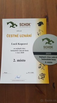 Holandská zakrslá koza s PoP, ministádečko 1,2 - 5
