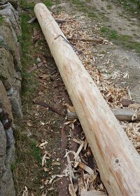 Srubová lavice - 5