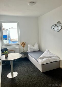 Jednolůžkový pokoj České Budějovice - 5