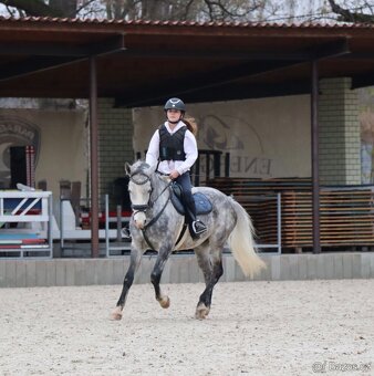 Kvalitní pony učitel - 5