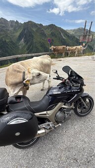 Yamaha TDM 900, 72 000 Km, 2002 - 5