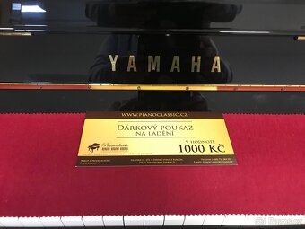 Yamaha B3 se zárukou 5 let, včetně 1. servisu a dopravy - 5